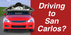 Sanborn car insurance