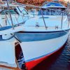 32' Luhrs Alura Express 200Hp Volvo Diesel inboard w/trailer San Carlos Mx