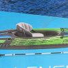 Inflatable kayak with aluminum paddles, never used,