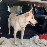 Thumbnail for the listing's main image