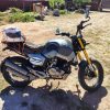 Vento Screamer 2021